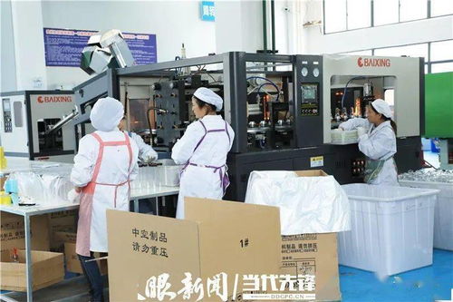 平坝区黔中创客小镇 以科技咨询服务完善服务功能，助力企业茁壮成长